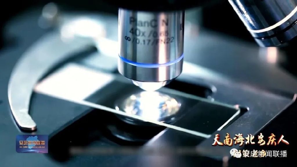 安慶電視臺(tái)專(zhuān)訪合景盛世集團(tuán)朱紹群